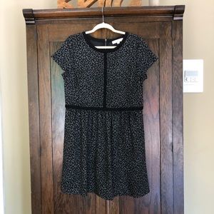 Ann Taylor Loft Animal Print Fit & Flare Dress